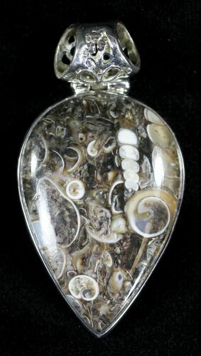 Fossil Turritella (Gastropod) Pendant - Sterling Silver #21612